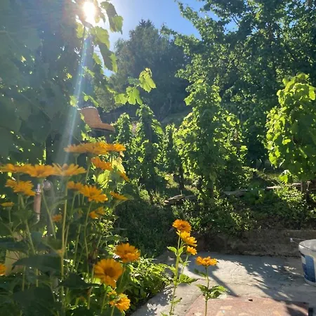 Vince Pince Haz Balatongyörök