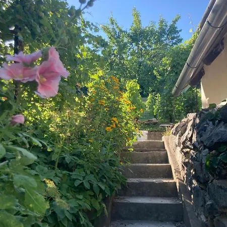 Appartement Vince Pince Haz