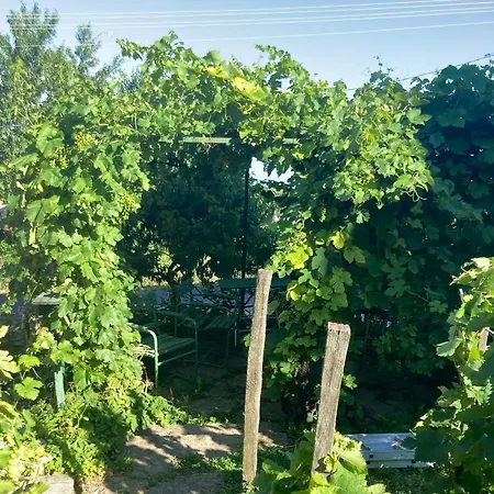 Vince Pince Haz Lejlighed