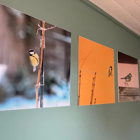 Vince Pince Haz Lejlighed *