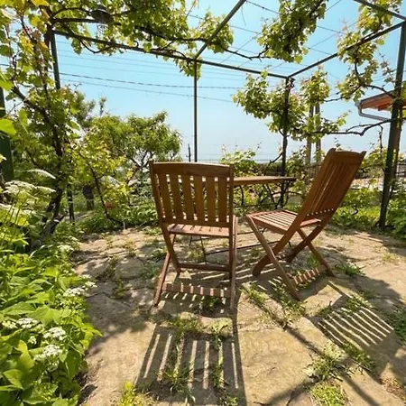 Vince Pince Haz Lejlighed