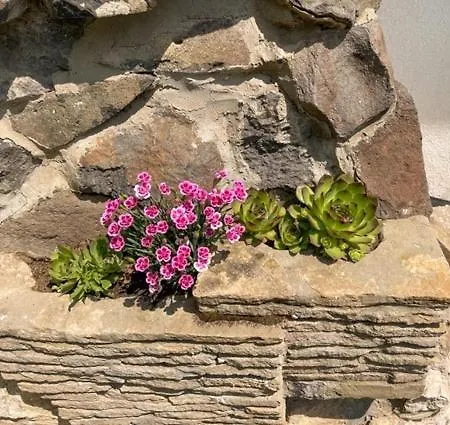 Vince Pince Haz Lejlighed