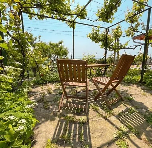 Vince Pince Haz Apartament
